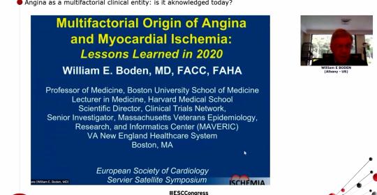 Angina as a multifactorial clinical entity: is it acknowledged today?
